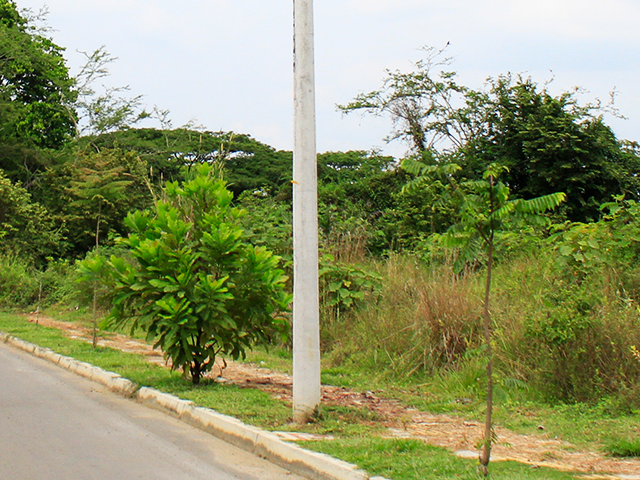 POSTES DE ENERGIA Y TELECOMUNICACIONES